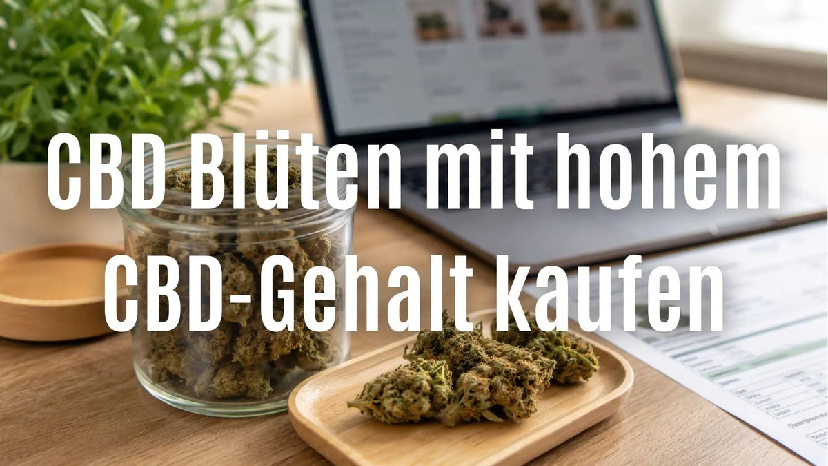 CBD Blüten mit hohem CBD-Gehalt kaufen: Worauf du wirklich achten solltest CANNANA