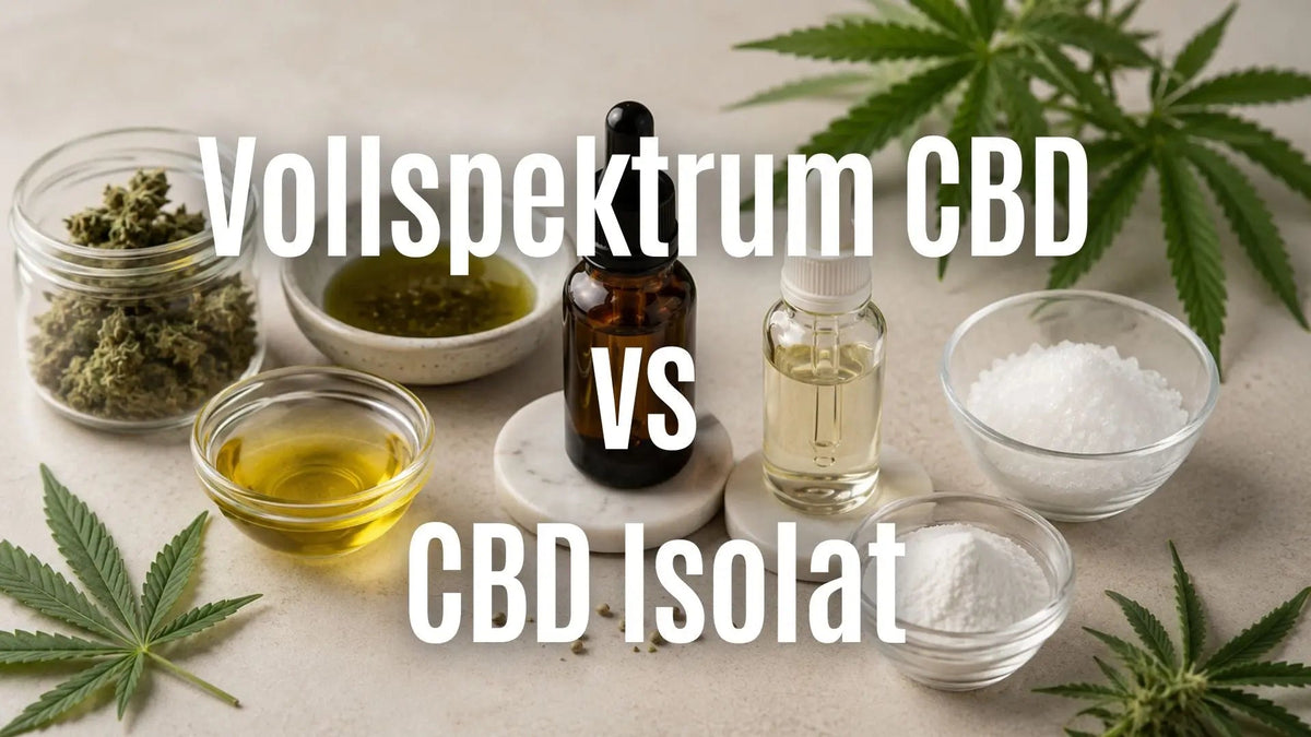 Vollspektrum CBD vs CBD Isolat: Unterschied und richtige Wahl CANNANA