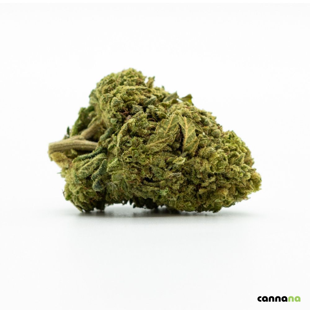 Blue Dream CBG9 40% Blüte kaufen – CBG Blüten Cannana Düsseldorf