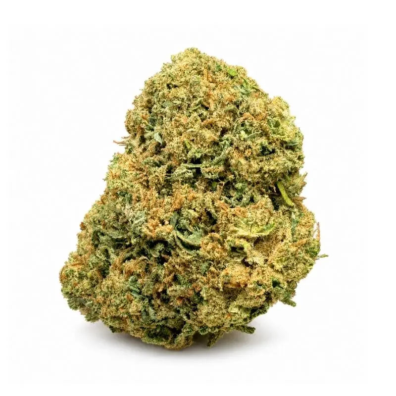Gorilla Glue Blüte Nahaufnahme