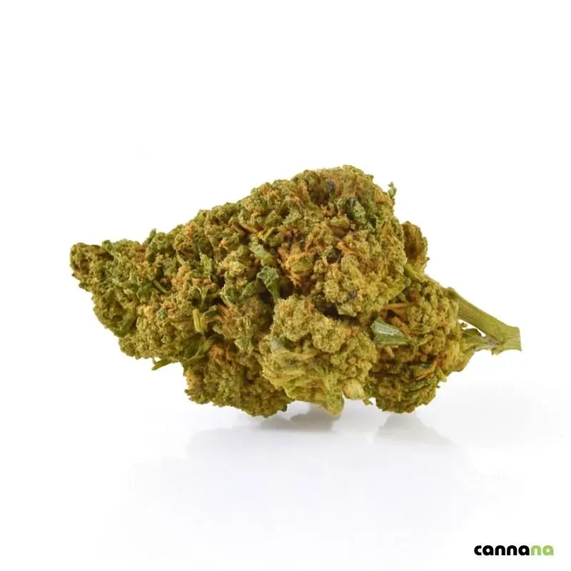 Strawberry Blüte Superior online kaufen