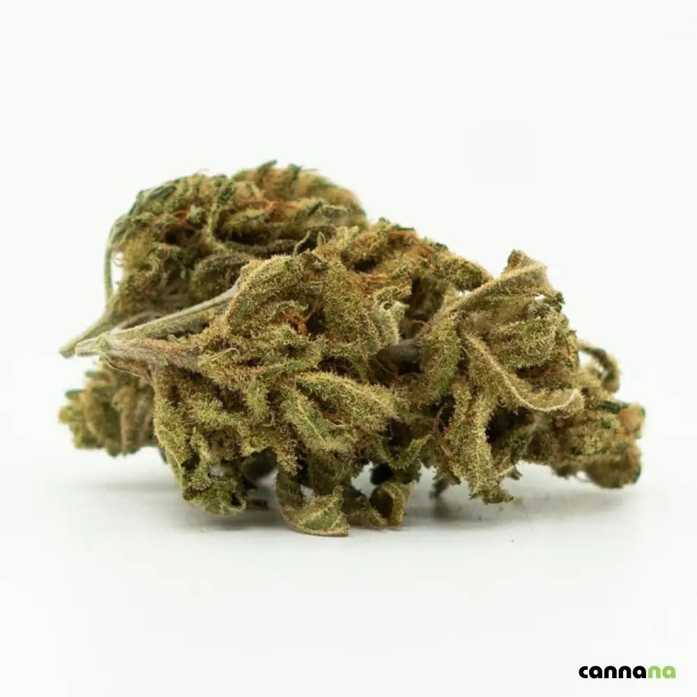 Sugar Queen CBD Blüten 17% online kaufen bei Cannana Düsseldorf
