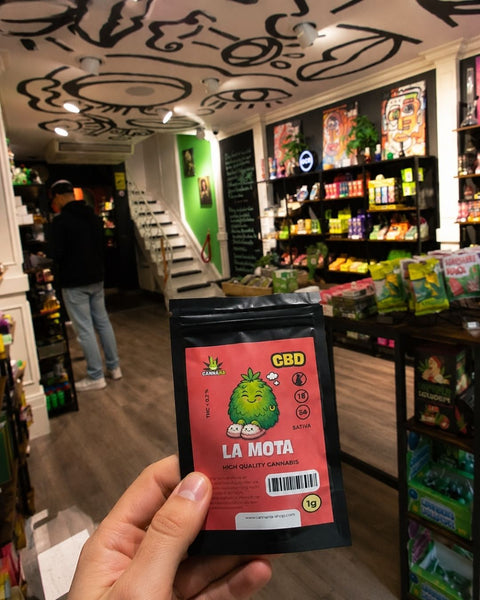 Hand hält ein CBD-Blütentütchen in einem CBD-Shop mit Regalen im Hintergrund