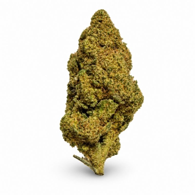 PINEAPPLE EXPRESS Blüten 🍍