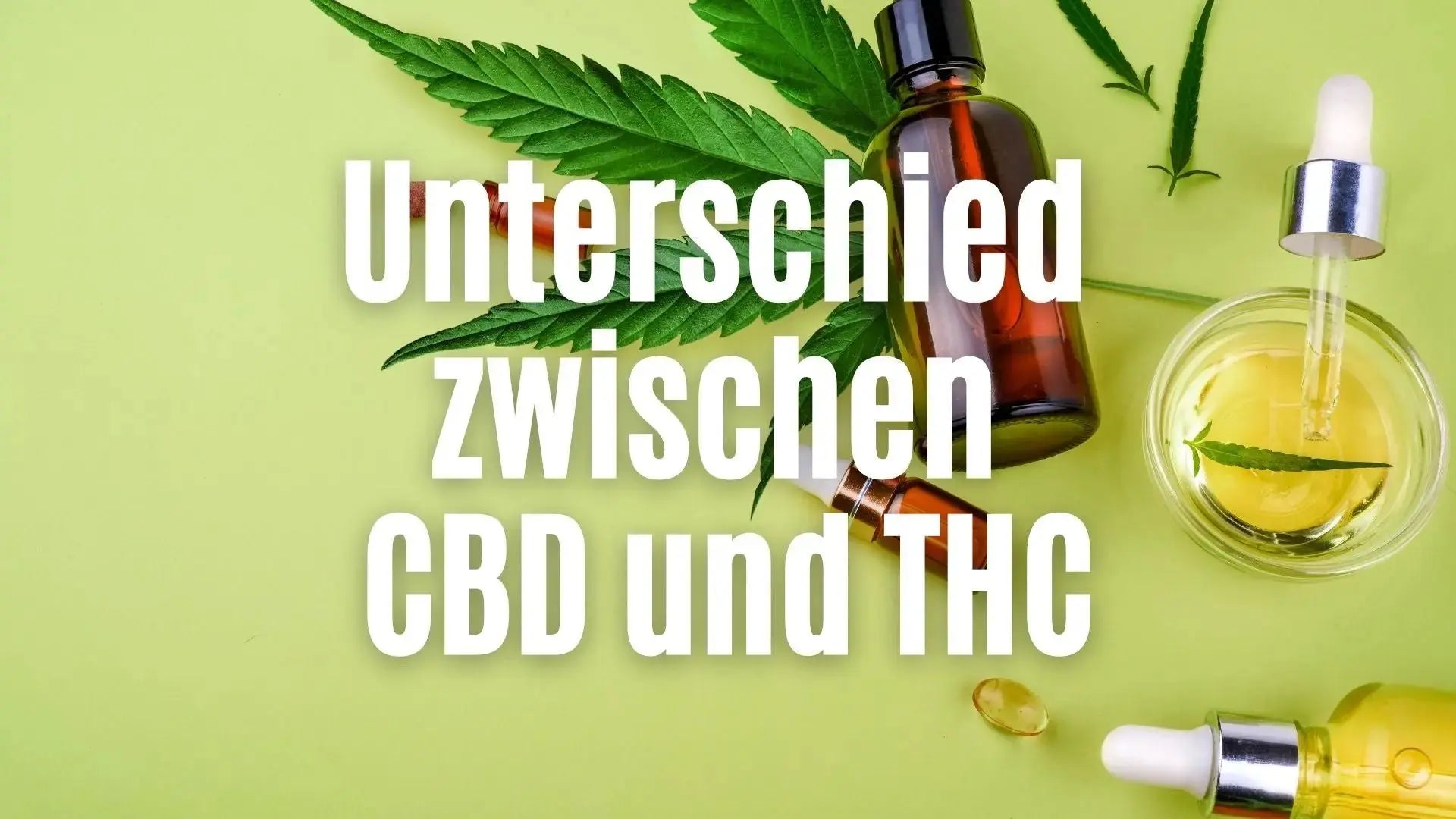 Was ist der Unterschied zwischen CBD und THC? Einfach erklärt