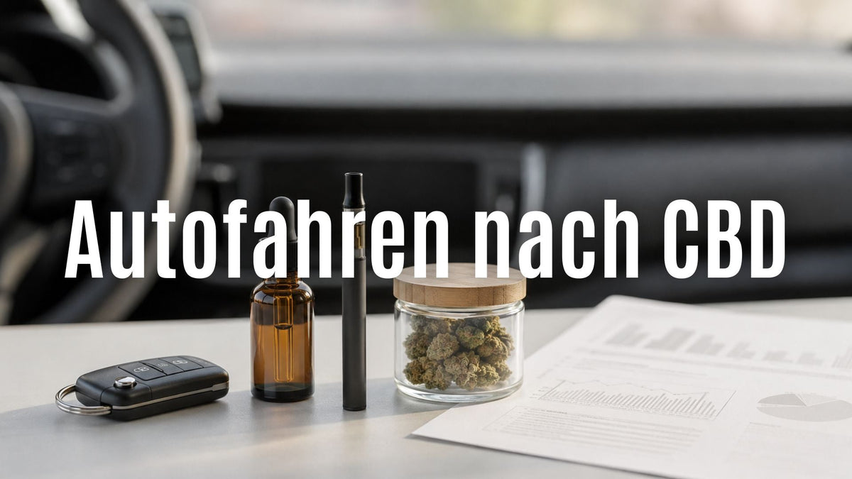 Autofahren nach CBD: Darf man mit CBD Öl, Blüten & Vapes ans Steuer? Rechtslage 2026