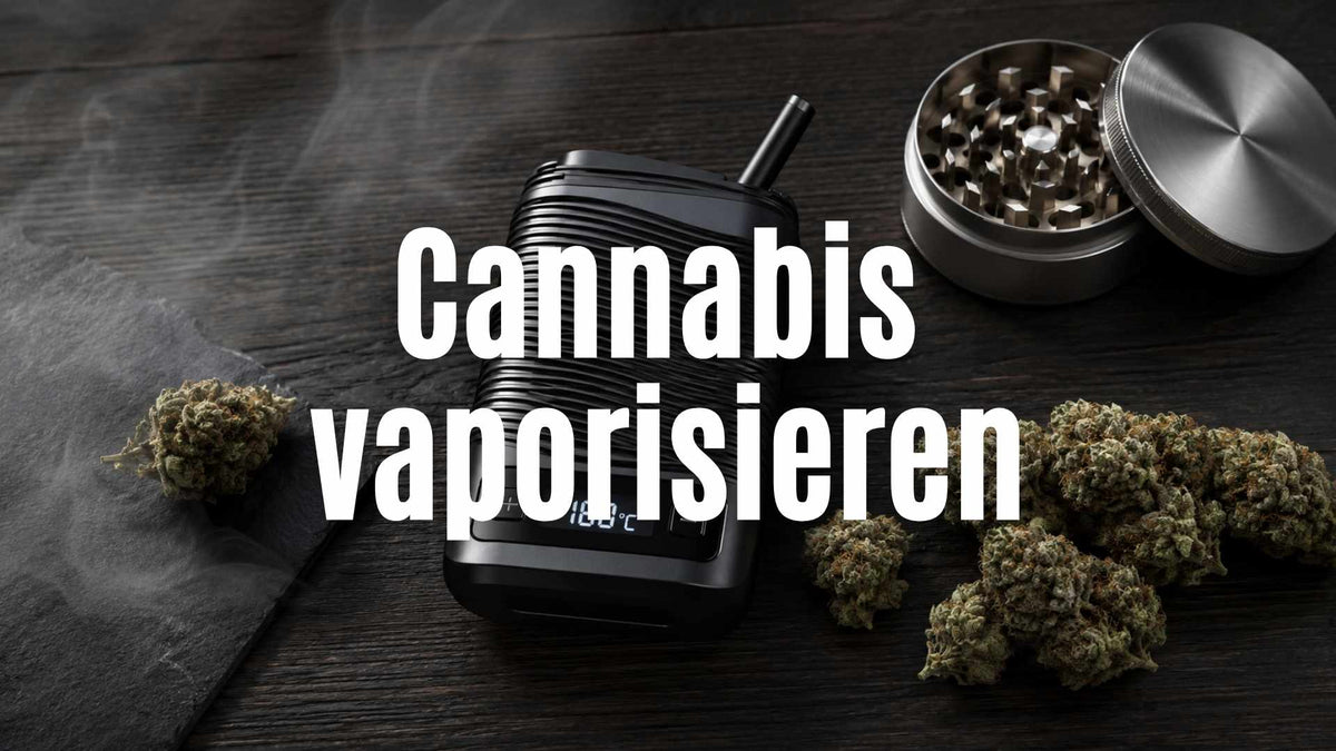 Vaporizer auf 180 Grad Celsius eingestellt neben frischen Cannabisblüten – Guide für die perfekte Temperatur