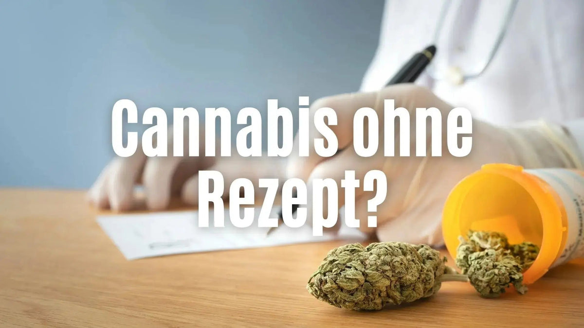 Cannabis online kaufen ohne Rezept: Legale CBD Blüten und Superior Vapes sicher bestellen – CANNANA Shop 2026.
