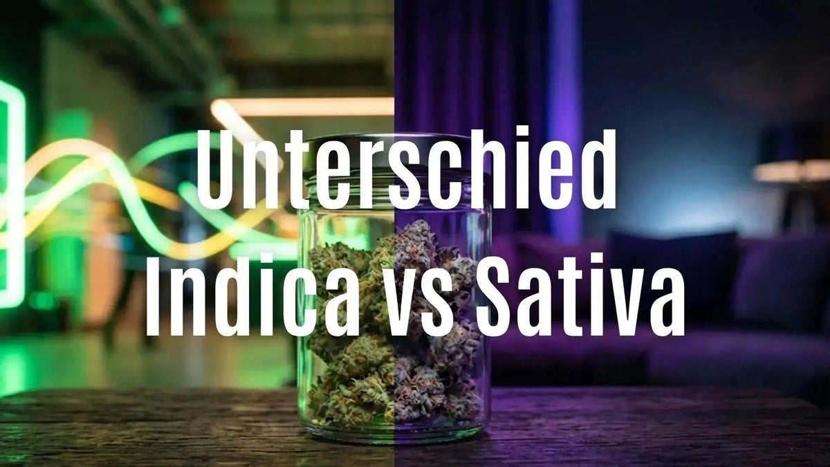 Der wahre Unterschied: Indica vs. Sativa Blüten im Jahr 2026 – Legale Superior Cannabis-Blüten mit weniger als 0,2% THC.