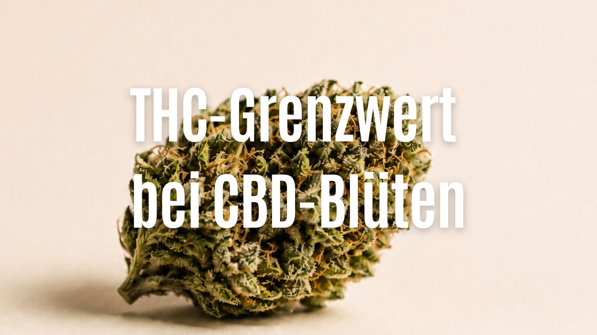 Welchen THC-Grenzwert dürfen CBD-Blüten in Deutschland nicht überschreiten?