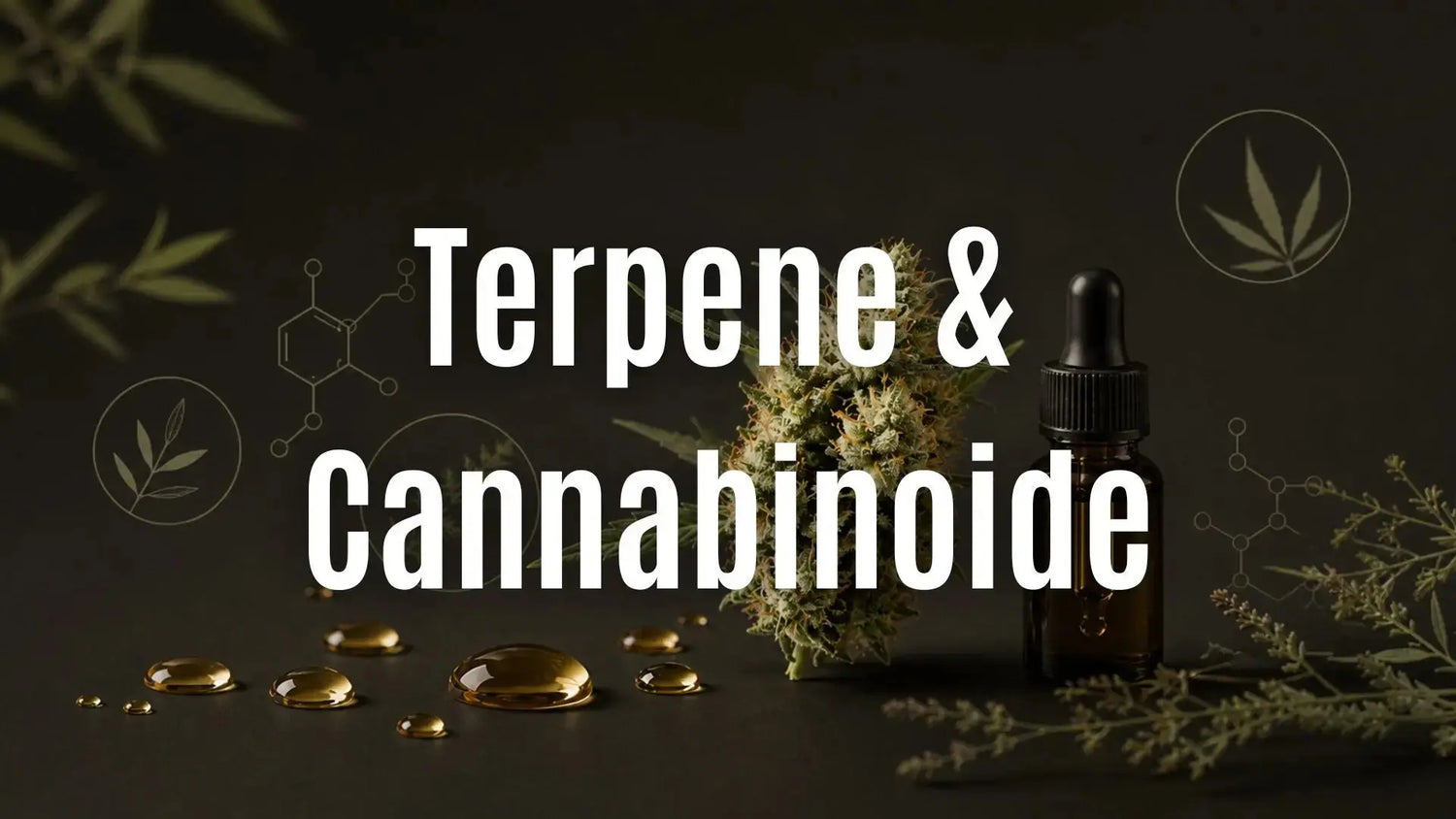 Terpene & Cannabinoide: Eigenschaften, Unterschiede und Bedeutung
