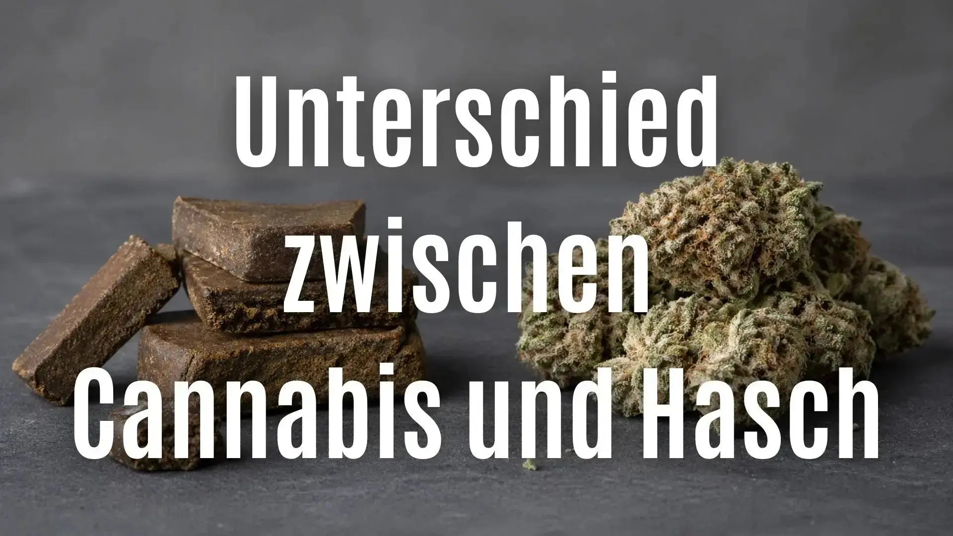 Was ist der Unterschied zwischen Cannabis und Hasch?