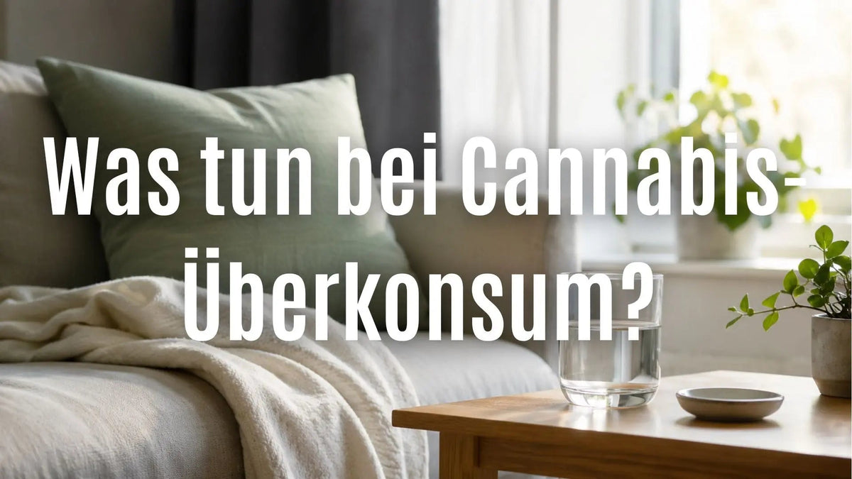 Was tun bei Cannabis-Überkonsum? Soforthilfe bei einem Green Out CANNANA