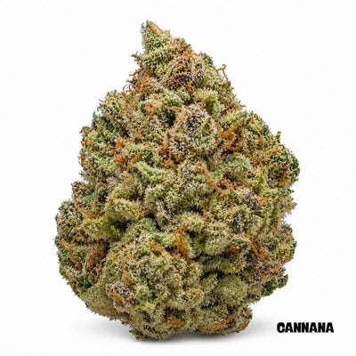 Afghan Kush