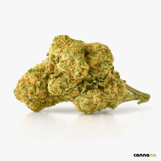 Cannabis Blüten Amnesia kaufen