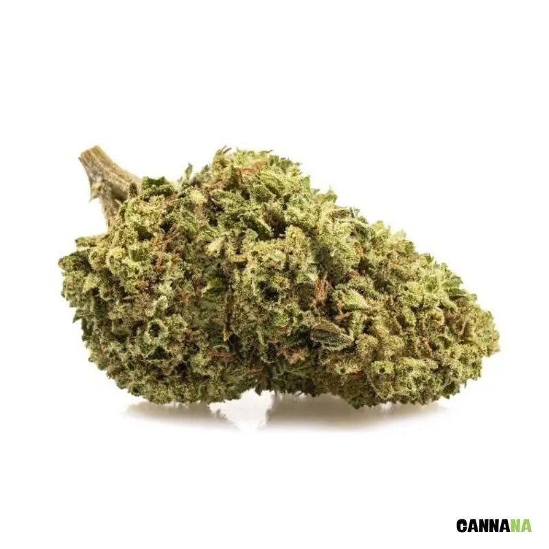 BUBBLEGUM CBD Blüte CANNANA