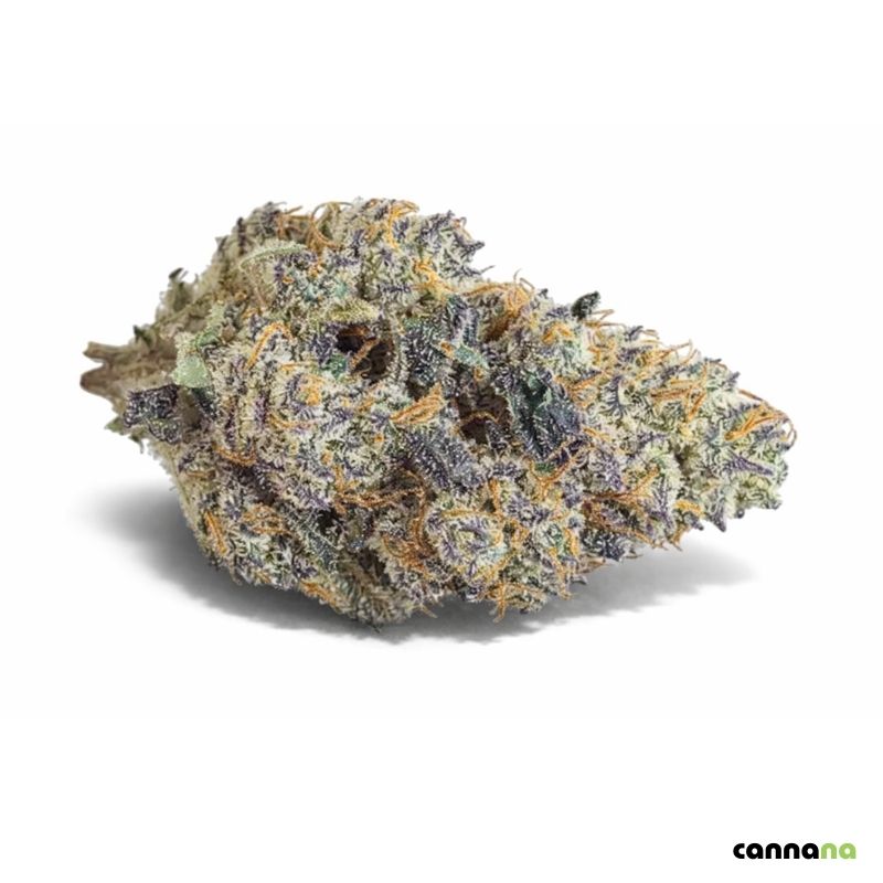 Blue Zushi Indica Hanfblüten – dichte Premium Blüten mit Beerenaroma aus Düsseldorf