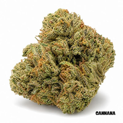 Bruce Banner
