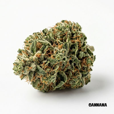 Durban Poison