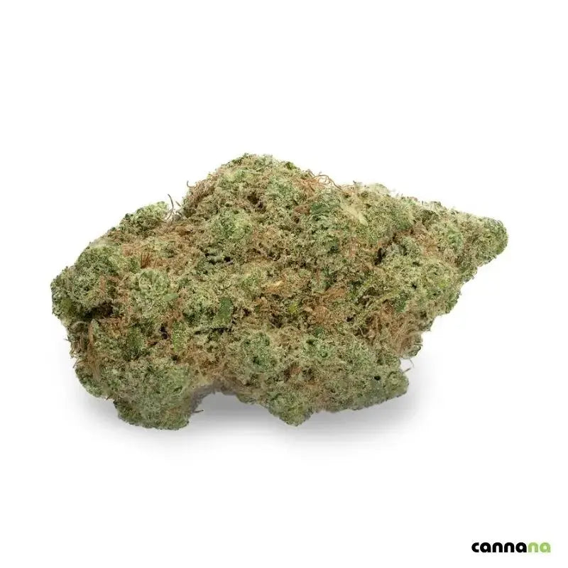 CBD Cali Blüten Gloockies – Premium Qualität aus Düsseldorf