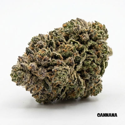 Hindu Kush