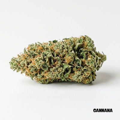 Jack Herer