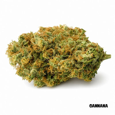 Orange Bud