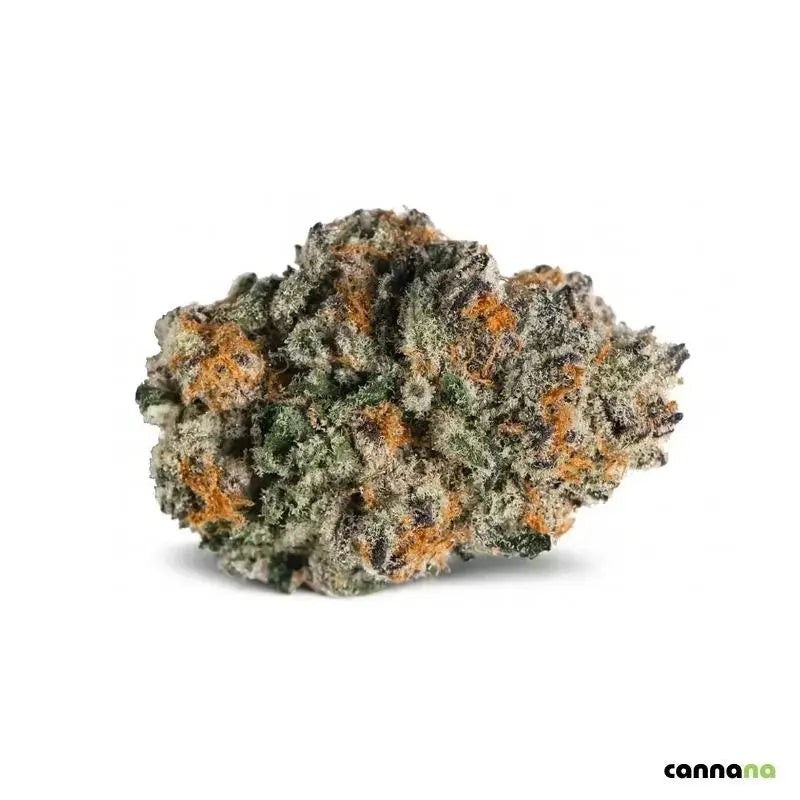 Purple Punch Blüten - Online bestellen | CANNANA