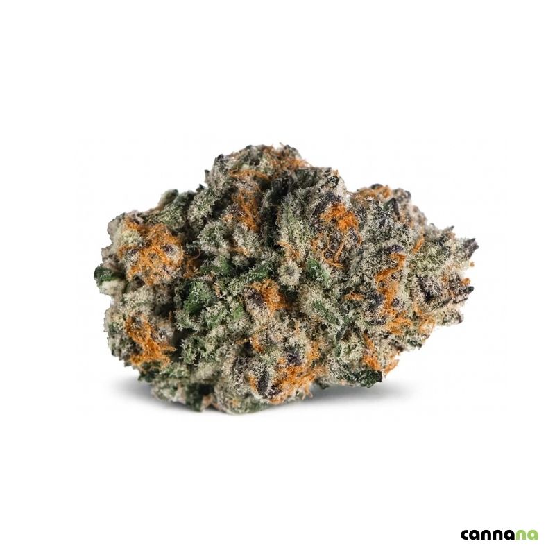 Purple Punch Premium Cannabis Blüten in Düsseldorf kaufen