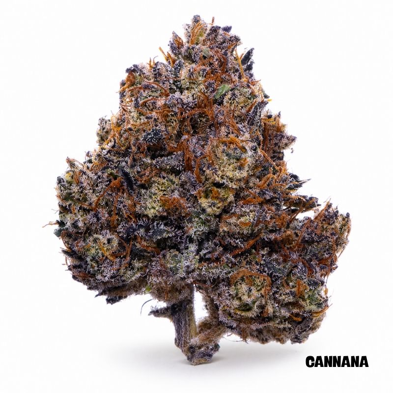 Purple Haze