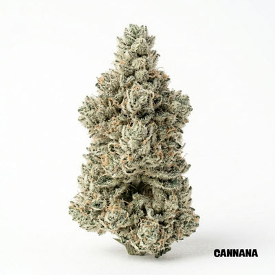 Super Silver Haze