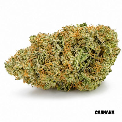 Tangerine Dream