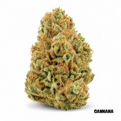 Trainwreck