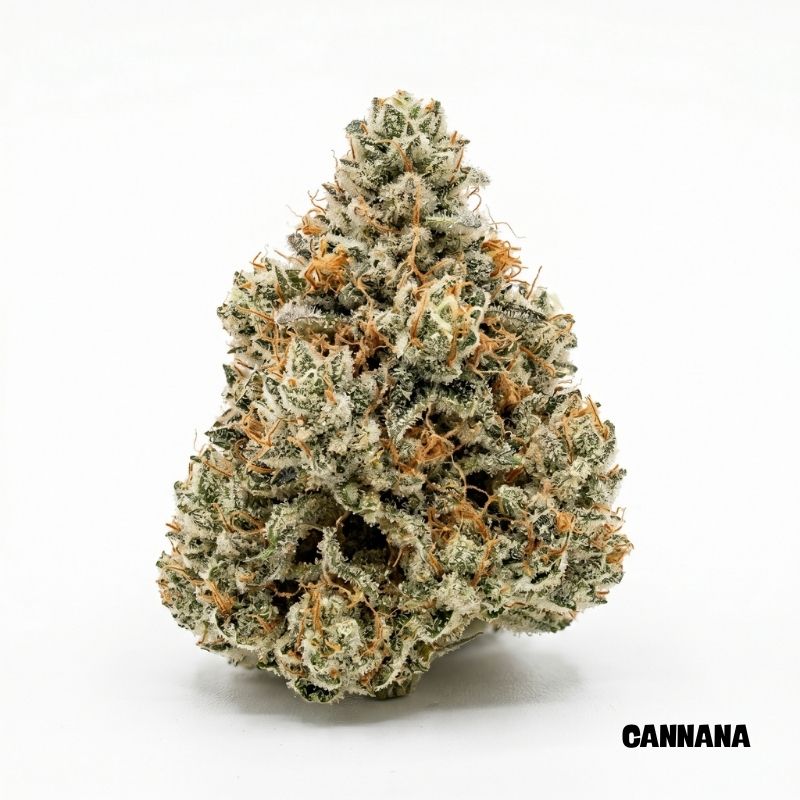 White Widow