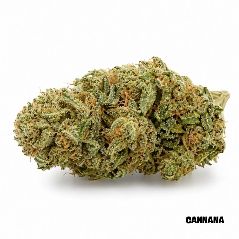 Amnesia Haze