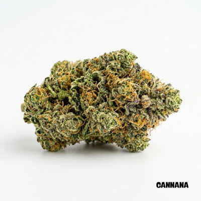 Skunk #1