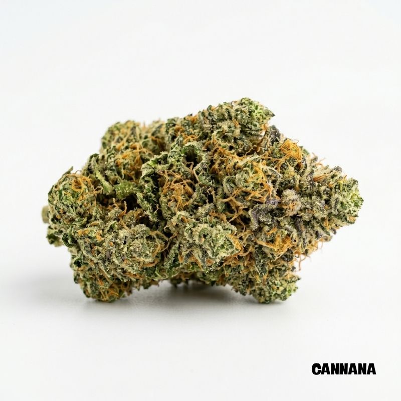 Skunk #1